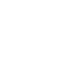 Home icon