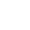 Wallet icon